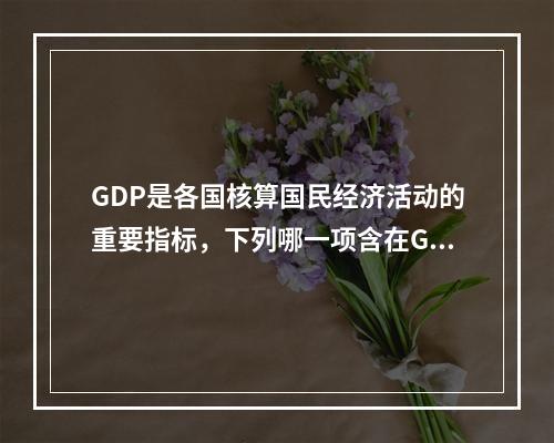 GDP是各国核算国民经济活动的重要指标，下列哪一项含在GDP