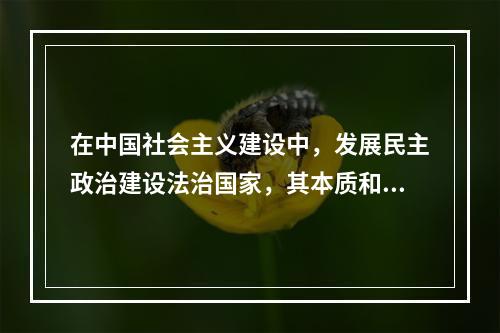 在中国社会主义建设中，发展民主政治建设法治国家，其本质和核心