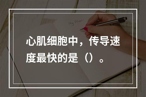 心肌细胞中，传导速度最快的是（）。