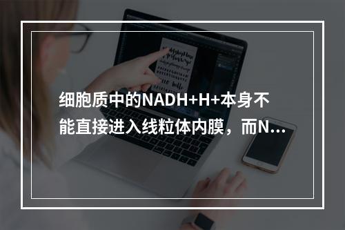 细胞质中的NADH+H+本身不能直接进入线粒体内膜，而NAD