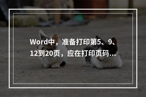 Word中，准备打印第5、9、12到20页，应在打印页码范围