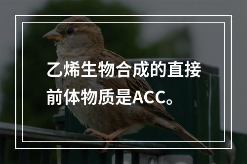 乙烯生物合成的直接前体物质是ACC。