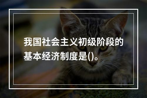 我国社会主义初级阶段的基本经济制度是()。