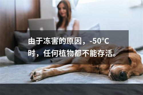 由于冻害的原因，-50℃时，任何植物都不能存活。