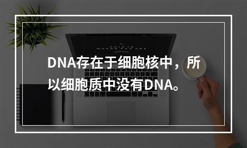 DNA存在于细胞核中，所以细胞质中没有DNA。