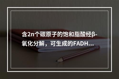 含2n个碳原子的饱和脂酸经β-氧化分解，可生成的FADH2数