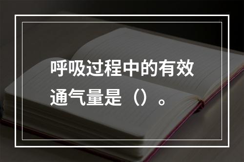 呼吸过程中的有效通气量是（）。