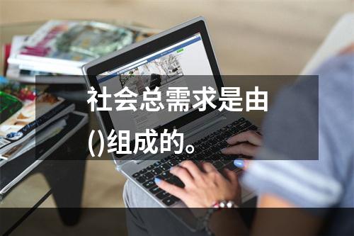 社会总需求是由()组成的。