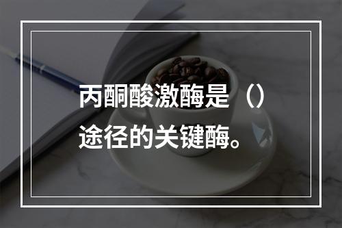 丙酮酸激酶是（）途径的关键酶。