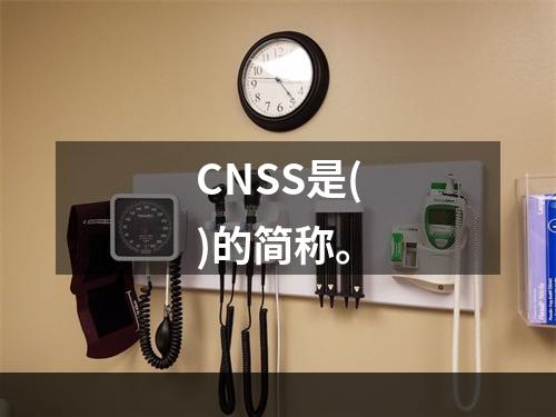 CNSS是()的简称。