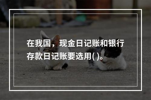 在我国，现金日记账和银行存款日记账要选用( )。