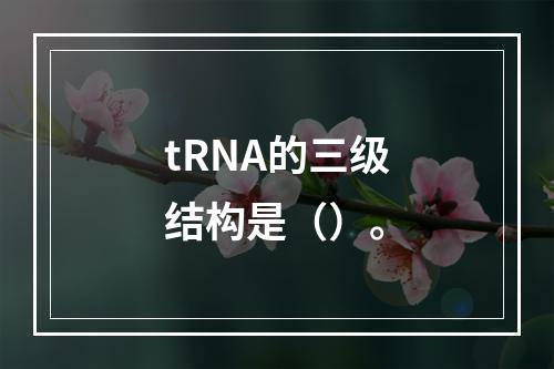 tRNA的三级结构是（）。