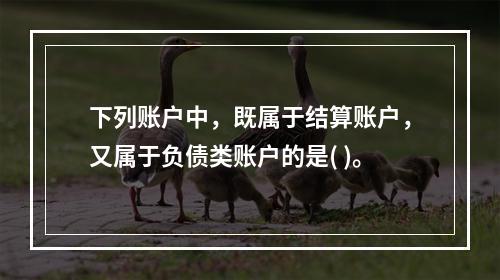 下列账户中，既属于结算账户，又属于负债类账户的是( )。