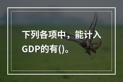 下列各项中，能计入GDP的有()。