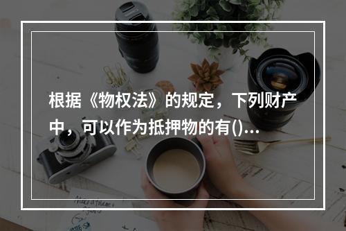 根据《物权法》的规定，下列财产中，可以作为抵押物的有()。