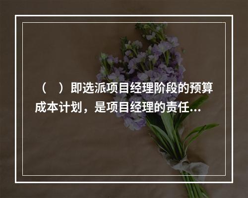 （　）即选派项目经理阶段的预算成本计划，是项目经理的责任成本