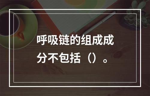 呼吸链的组成成分不包括（）。