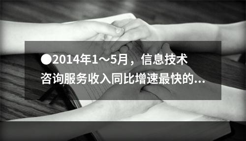 ●2014年1～5月，信息技术咨询服务收入同比增速最快的副省