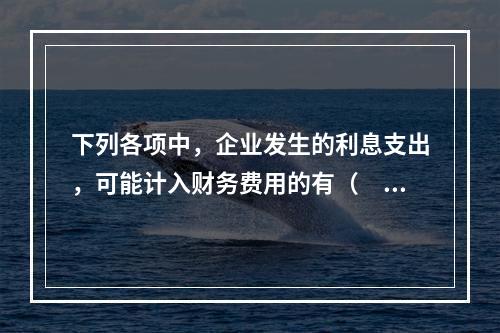 下列各项中，企业发生的利息支出，可能计入财务费用的有（　）。