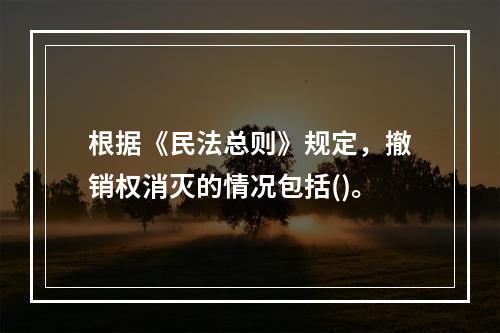 根据《民法总则》规定，撤销权消灭的情况包括()。