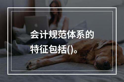 会计规范体系的特征包括()。