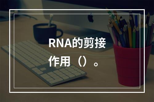 RNA的剪接作用（）。