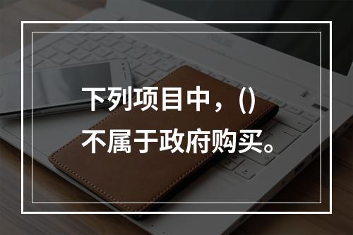 下列项目中，()不属于政府购买。