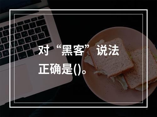 对“黑客”说法正确是()。