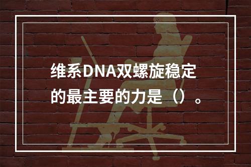 维系DNA双螺旋稳定的最主要的力是（）。