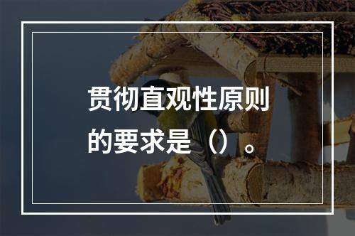 贯彻直观性原则的要求是（）。