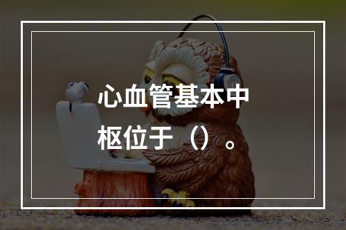 心血管基本中枢位于（）。