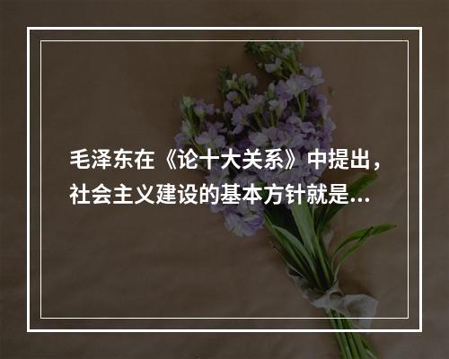 毛泽东在《论十大关系》中提出，社会主义建设的基本方针就是“统