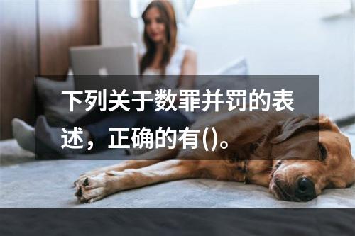 下列关于数罪并罚的表述，正确的有()。