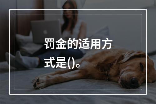 罚金的适用方式是()。