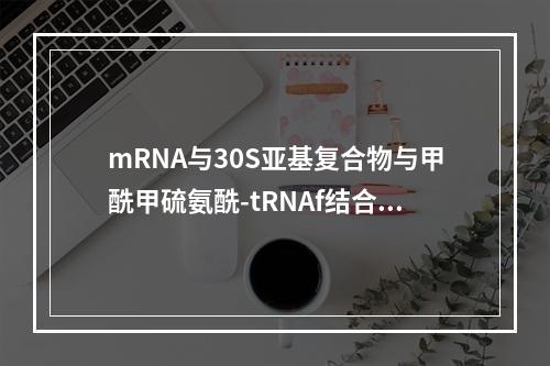 mRNA与30S亚基复合物与甲酰甲硫氨酰-tRNAf结合过程