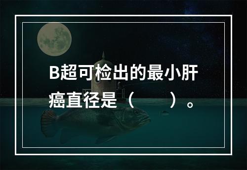 B超可检出的最小肝癌直径是（　　）。