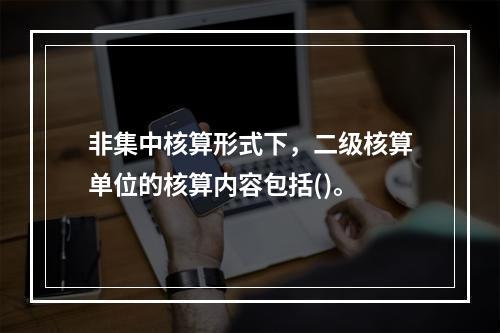 非集中核算形式下，二级核算单位的核算内容包括()。