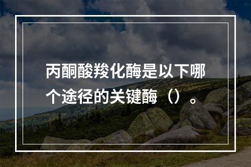 丙酮酸羧化酶是以下哪个途径的关键酶（）。