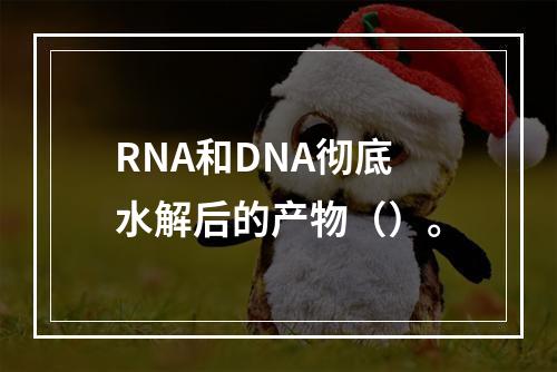 RNA和DNA彻底水解后的产物（）。