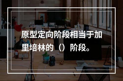 原型定向阶段相当于加里培林的（）阶段。