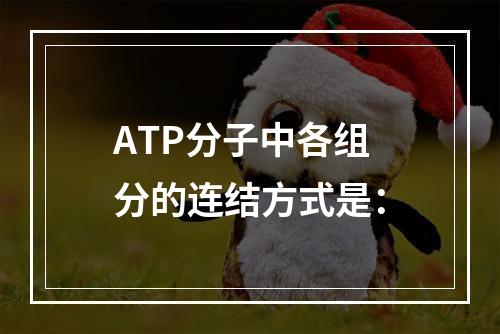 ATP分子中各组分的连结方式是：