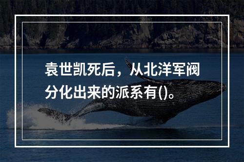 袁世凯死后，从北洋军阀分化出来的派系有()。