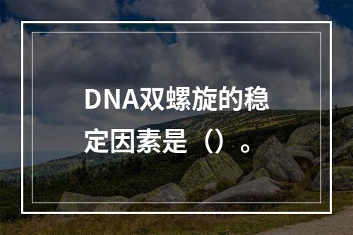 DNA双螺旋的稳定因素是（）。