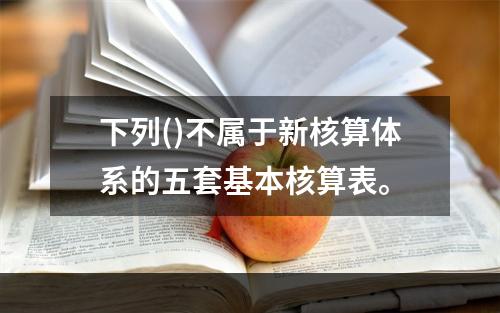 下列()不属于新核算体系的五套基本核算表。