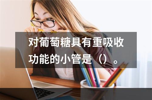 对葡萄糖具有重吸收功能的小管是（）。