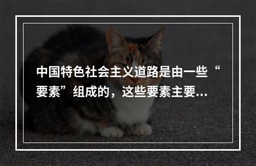 中国特色社会主义道路是由一些“要素”组成的，这些要素主要包括