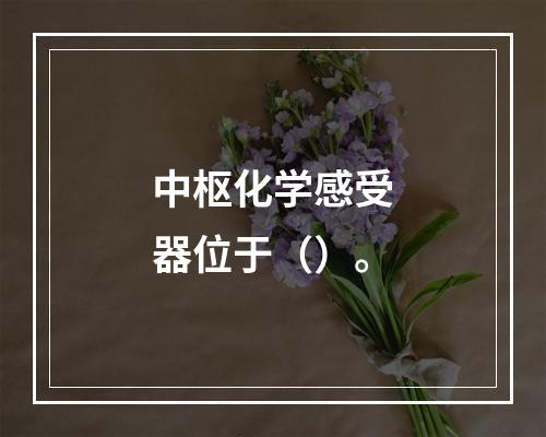 中枢化学感受器位于（）。