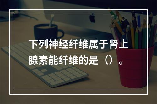 下列神经纤维属于肾上腺素能纤维的是（）。