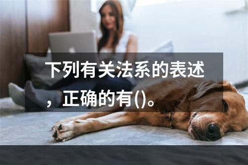 下列有关法系的表述，正确的有()。