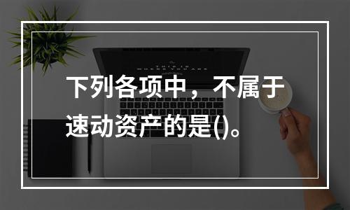 下列各项中，不属于速动资产的是()。